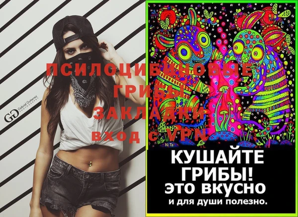 стафф Горняк
