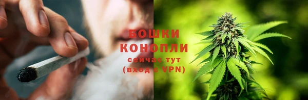 ГАЛЛЮЦИНОГЕННЫЕ ГРИБЫ Горно-Алтайск