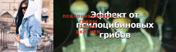 стафф Горняк
