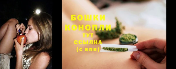 стафф Горняк