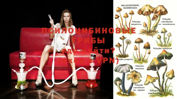 стафф Горняк