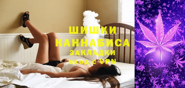 мдпв Горнозаводск