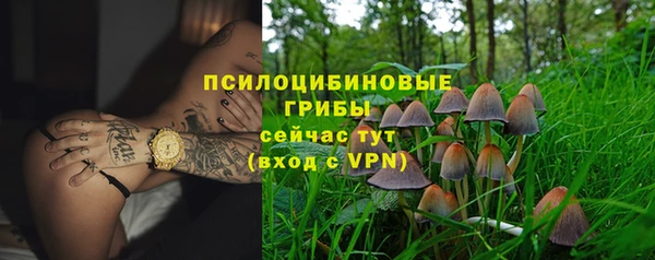 мдпв Горнозаводск