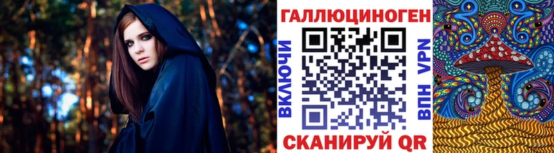 Купить  Обь  Псилоцибиновые грибы Psilocybe 